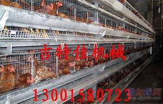 吉特佳山東雞籠廠 專注蛋雞籠與數(shù)控機床銷售的服務(wù)商